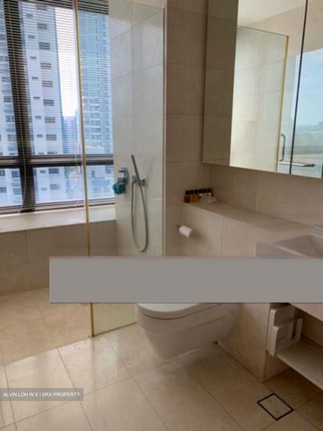 Trilight (D11), Condominium #460731731